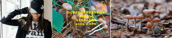 синтетический гашиш Бородино