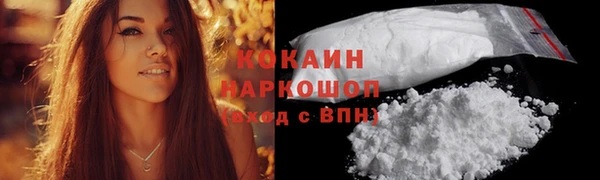 прущие грибы Белоозёрский