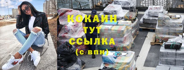соль ск Белокуриха
