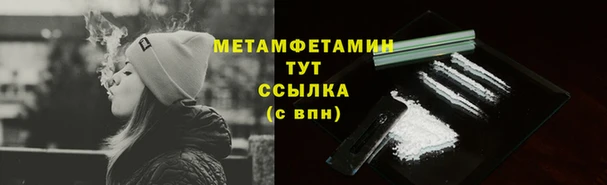 прущие грибы Белоозёрский