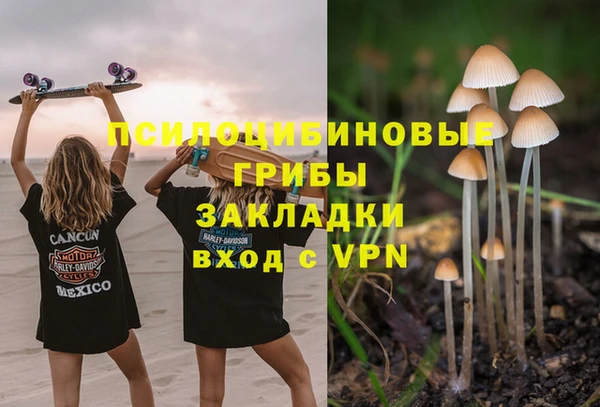 прущие грибы Белоозёрский