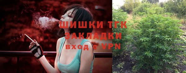 соль ск Белокуриха