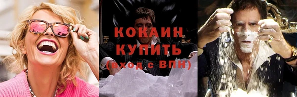прущие грибы Белоозёрский